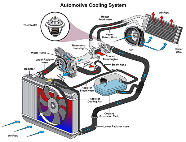 What Happens If My Car's Radiator Fan Stops Working? | Four Car Garage